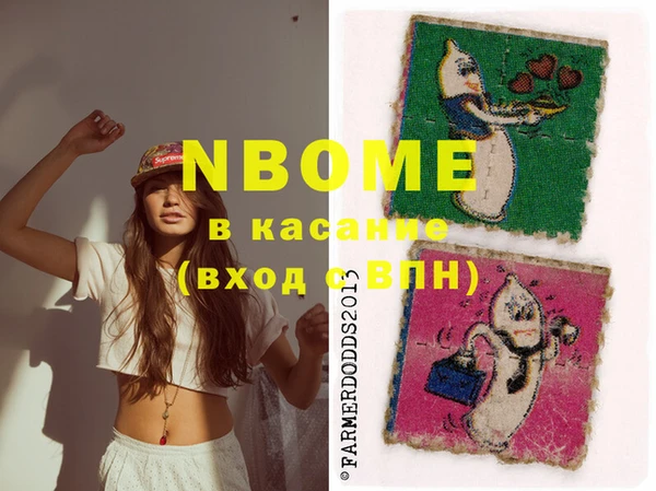 хмурый Алексин