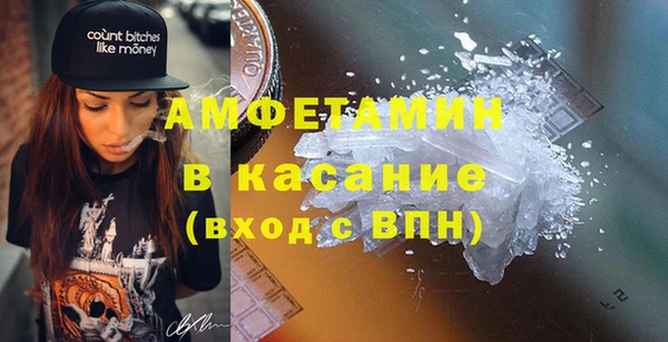 хмурый Алексин