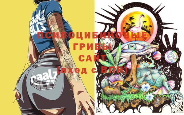 прущая мука Алексеевка