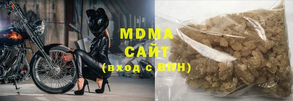 хмурый Алексин