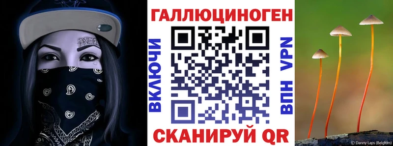 цена   Грязи  маркетплейс наркотические препараты  Псилоцибиновые грибы GOLDEN TEACHER 